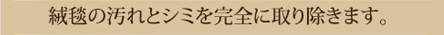 絨毯の汚れとシミを完全に取り除きます。